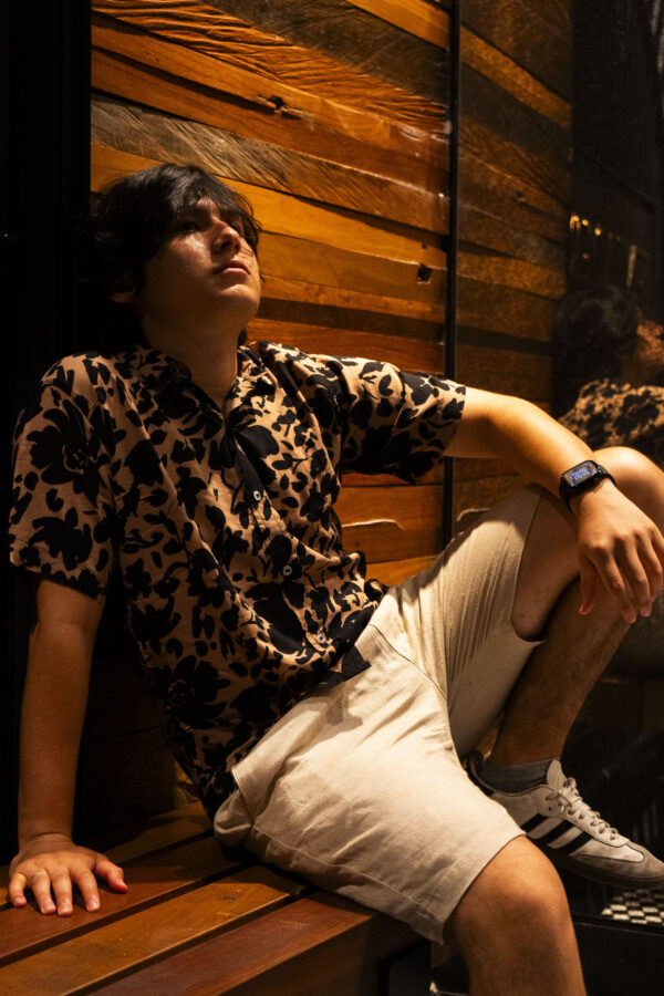 Camisa De Chalis Leopardo - Image 2